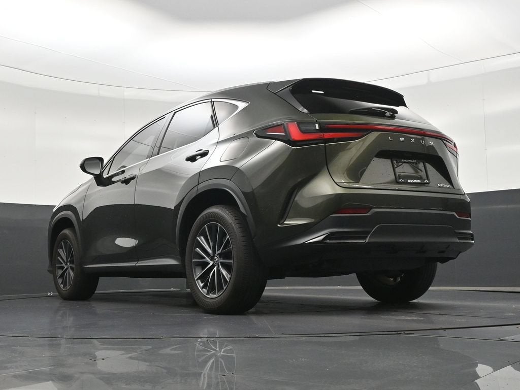 2024 Lexus NX 250 Premium