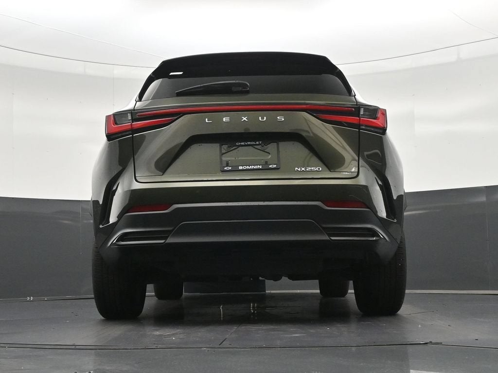 2024 Lexus NX 250 Premium