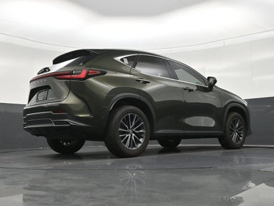 2024 Lexus NX 250 Premium