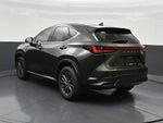 2024 Lexus NX 250 Premium