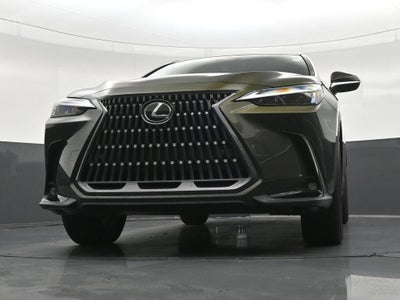 2024 Lexus NX 250 Premium