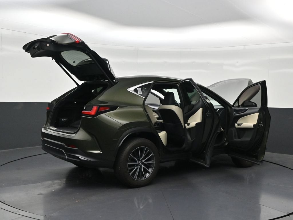 2024 Lexus NX 250 Premium