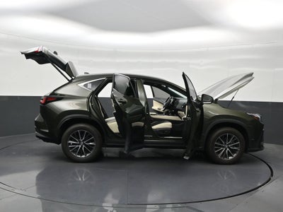 2024 Lexus NX 250 Premium