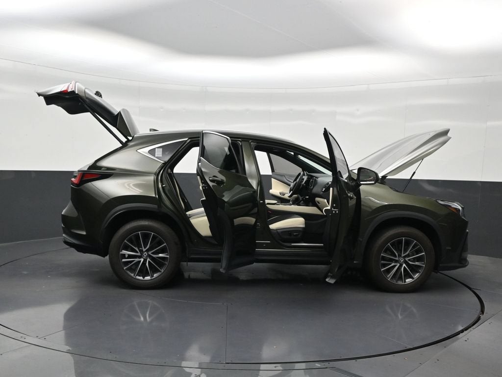2024 Lexus NX 250 Premium