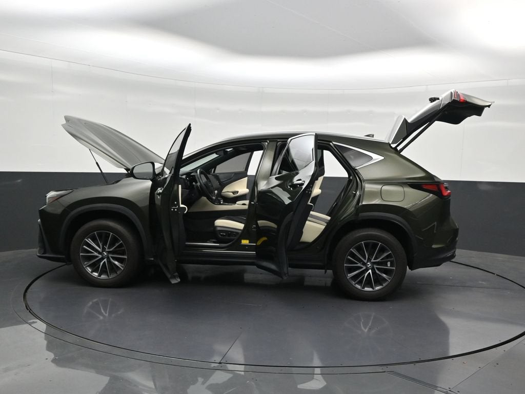 2024 Lexus NX 250 Premium