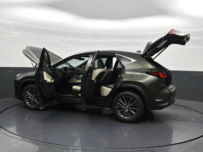 2024 Lexus NX 250 Premium