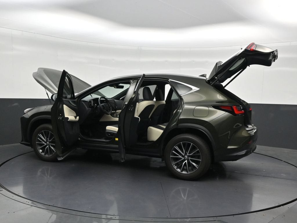2024 Lexus NX 250 Premium