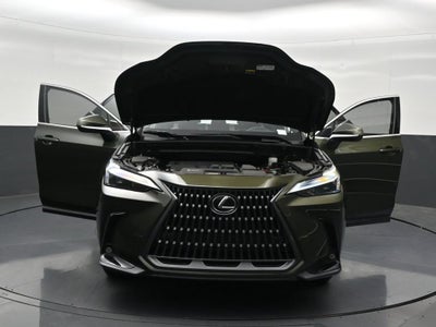2024 Lexus NX 250 Premium