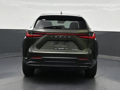 2024 Lexus NX 250 Premium