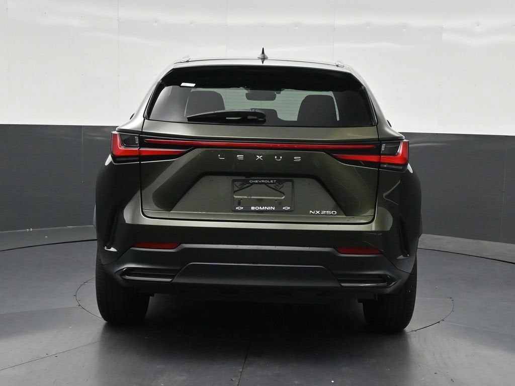 2024 Lexus NX 250 Premium