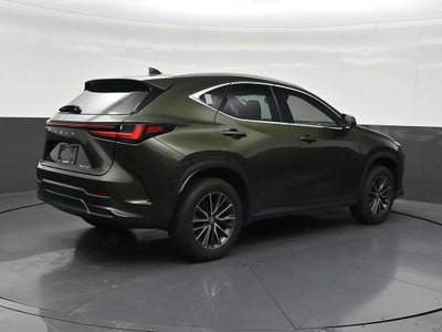 2024 Lexus NX 250 Premium