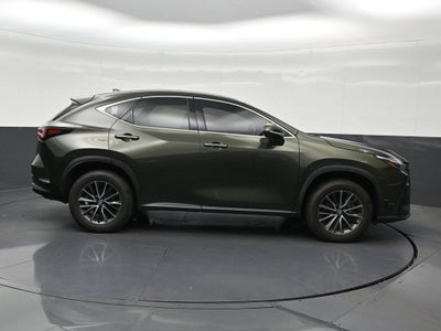 2024 Lexus NX 250 Premium
