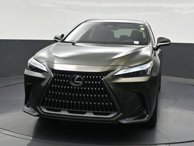 2024 Lexus NX 250 Premium