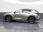 2024 Lexus NX NX 250 Premium