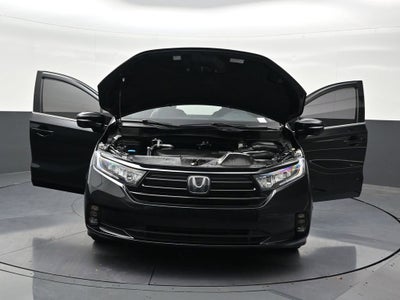 2024 Honda Odyssey Sport