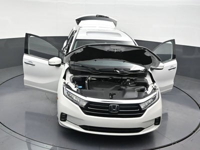 2023 Honda Odyssey Elite
