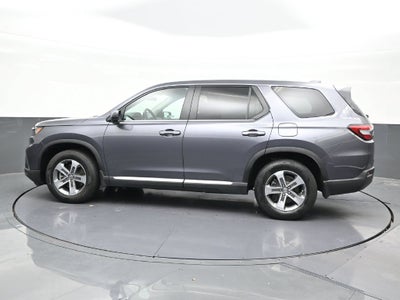 2024 Honda Pilot EX-L 8 Passenger