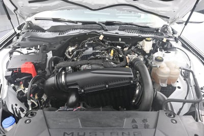 2024 Ford Mustang EcoBoost Fastback