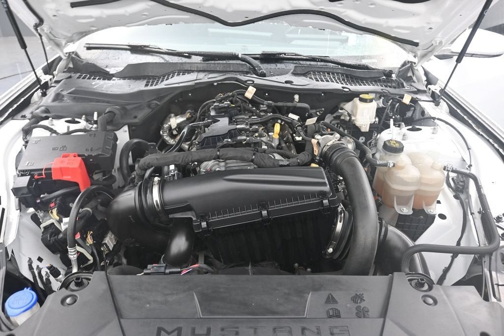 2024 Ford Mustang EcoBoost Fastback