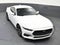 2024 Ford Mustang EcoBoost Fastback