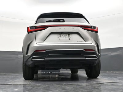 2024 Lexus NX NX 250