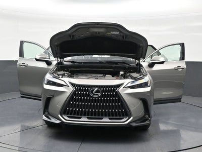 2024 Lexus NX NX 250