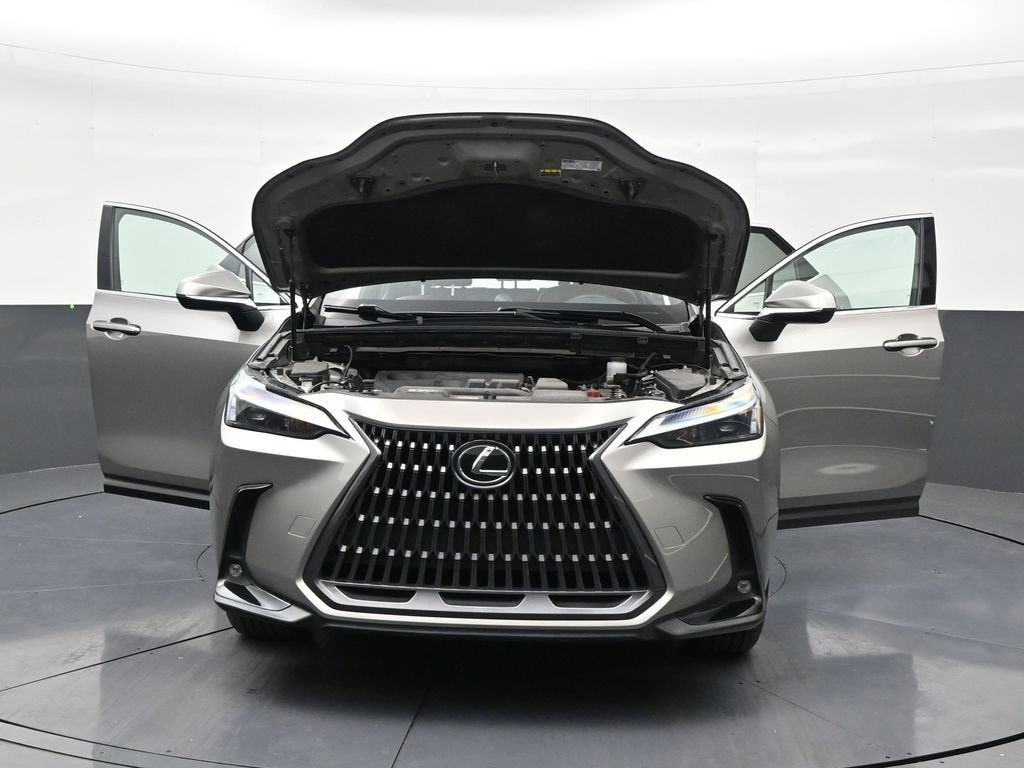 2024 Lexus NX NX 250