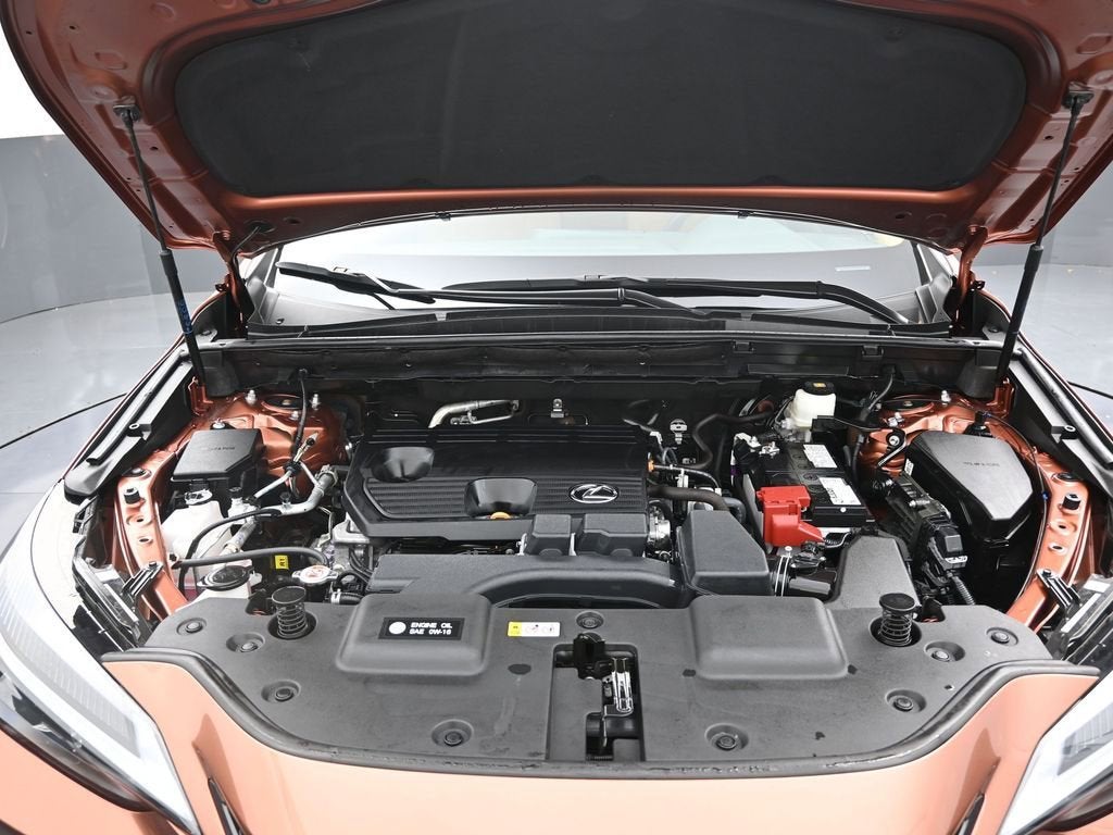 2025 Lexus NX NX 250