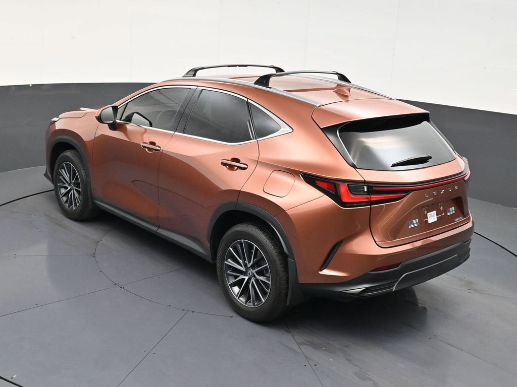 2025 Lexus NX NX 250