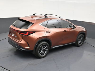 2025 Lexus NX NX 250