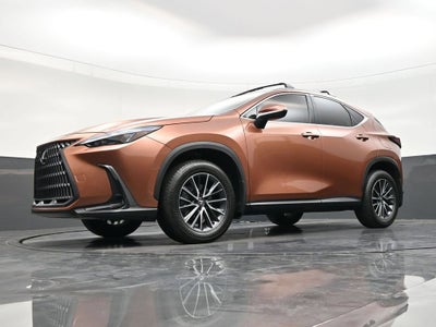 2025 Lexus NX NX 250