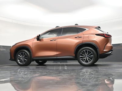 2025 Lexus NX NX 250