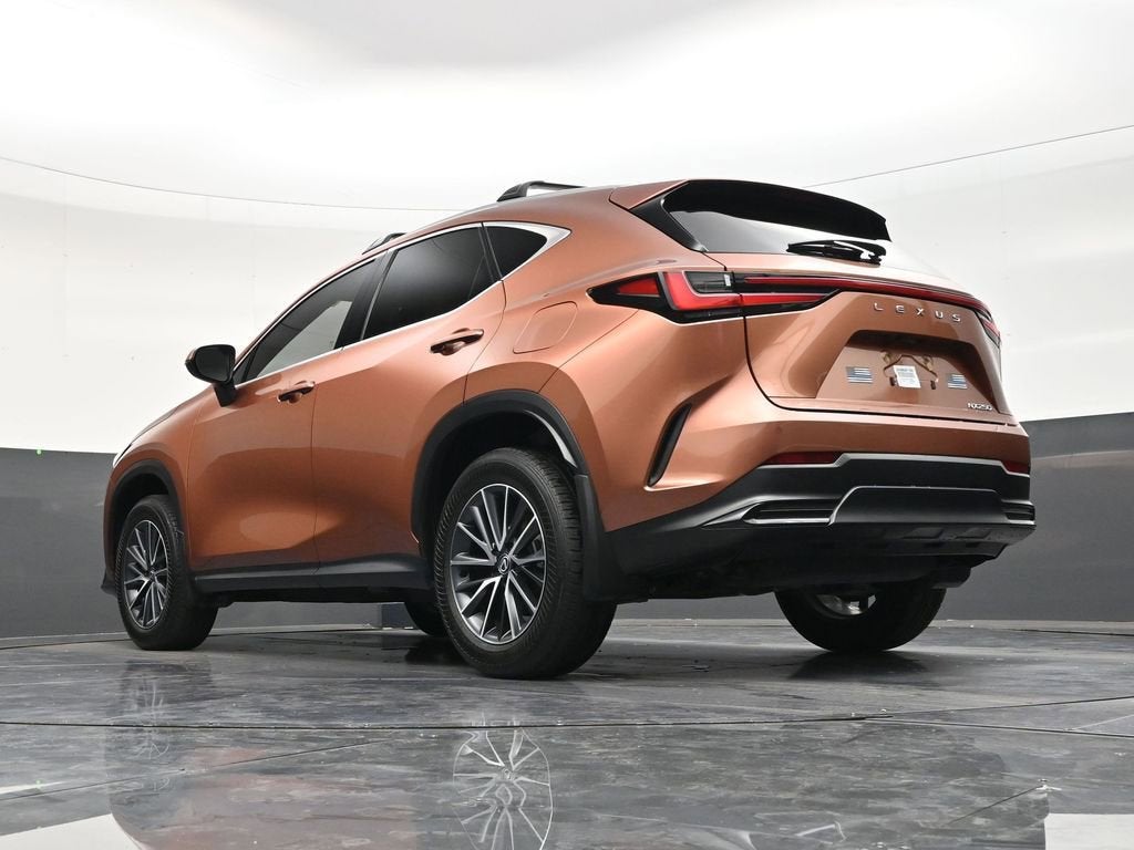 2025 Lexus NX NX 250