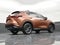 2025 Lexus NX NX 250