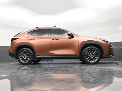 2025 Lexus NX NX 250