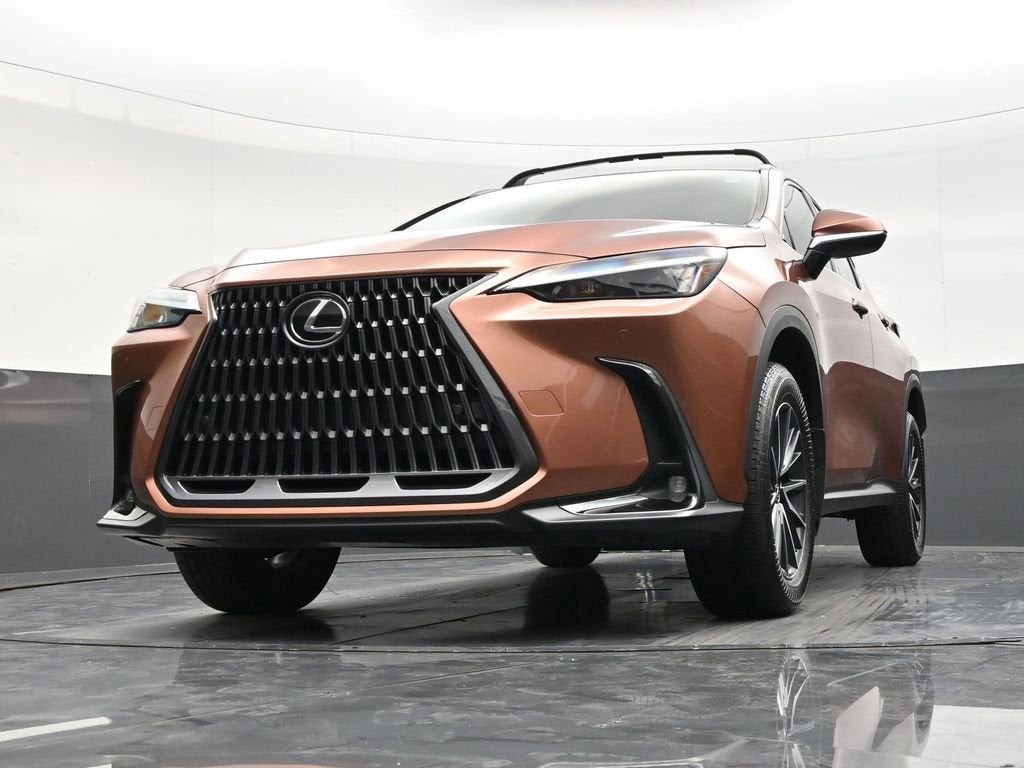 2025 Lexus NX NX 250