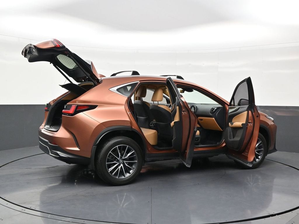 2025 Lexus NX NX 250