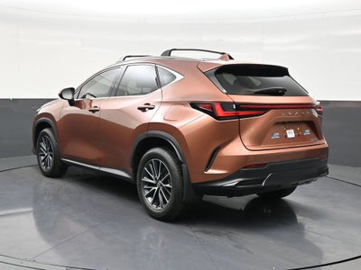 2025 Lexus NX NX 250