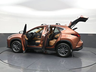 2025 Lexus NX NX 250