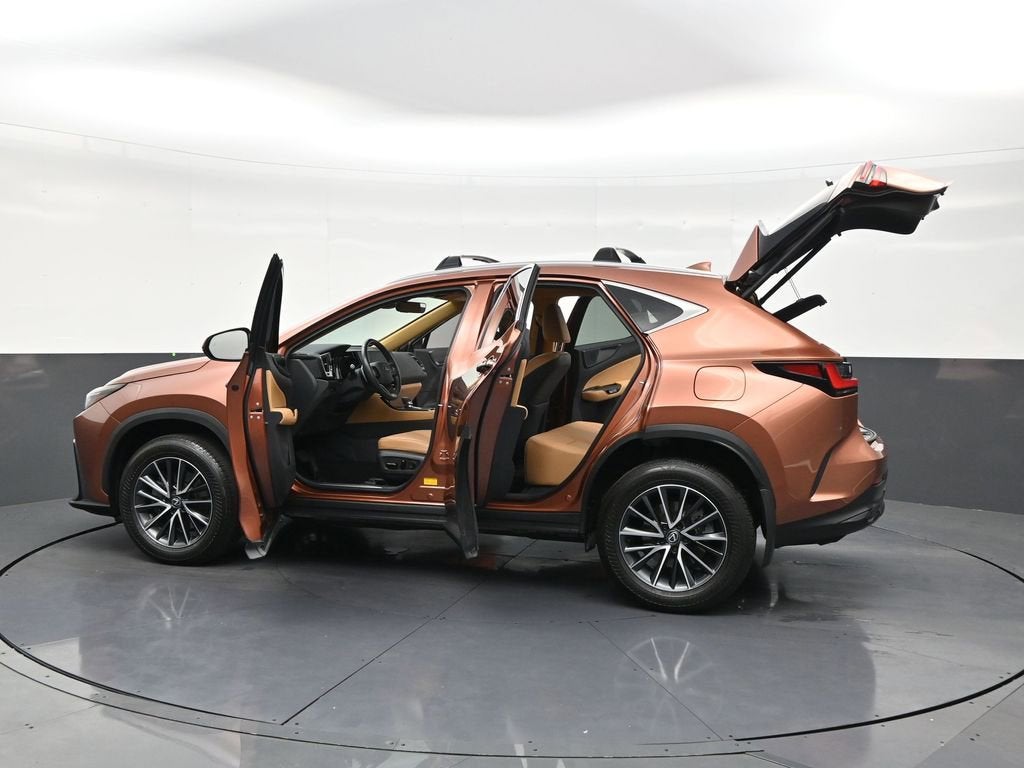 2025 Lexus NX NX 250