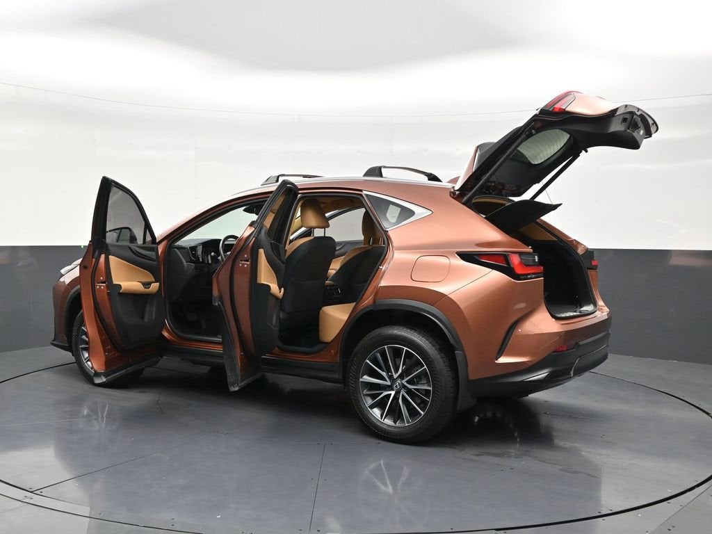 2025 Lexus NX NX 250
