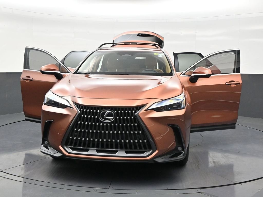 2025 Lexus NX NX 250