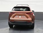 2025 Lexus NX NX 250