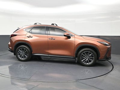 2025 Lexus NX NX 250