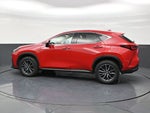 2024 Lexus NX NX 250 Premium