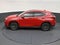 2025 Lexus NX NX 250 Premium