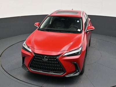 2025 Lexus NX NX 250 Premium