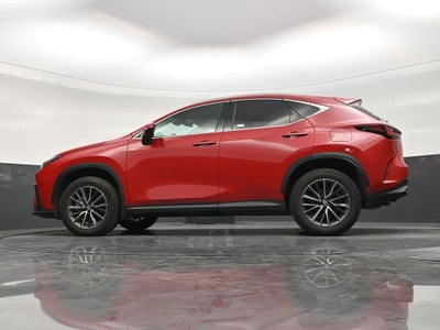 2025 Lexus NX NX 250 Premium