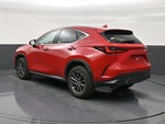 2025 Lexus NX NX 250 Premium