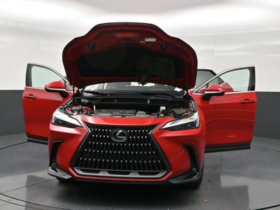 2025 Lexus NX NX 250 Premium